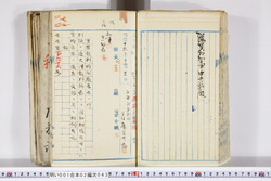 明い001020430006.jpg