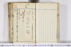 明い001020440003.jpg