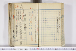 明い001020450002.jpg