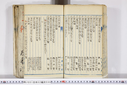 明い001020460003.jpg