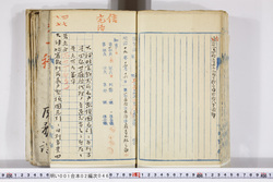 明い001020460004.jpg