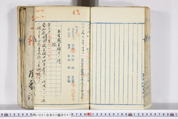 明い001020470003.jpg