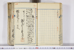 明い001020480002.jpg