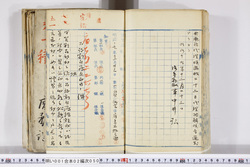 明い001020500002.jpg
