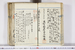 明い001020510005.jpg