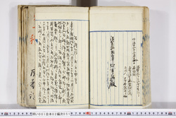 明い001020510009.jpg