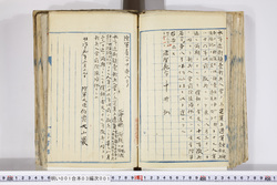 明い001030010002.jpg