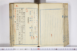 明い001030010003.jpg