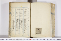 明い001040000002.jpg