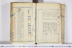 明い001040000003.jpg
