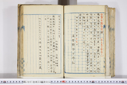 明い001040040002.jpg
