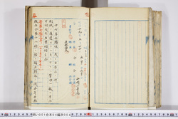 明い001040040003.jpg