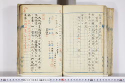 明い001040060002.jpg