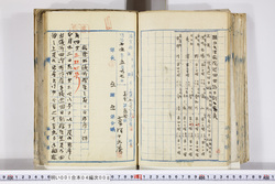 明い001040080003.jpg