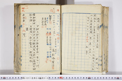 明い001040100002.jpg