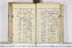 明い001040180004.jpg