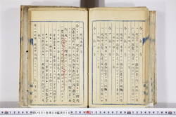明い001040180009.jpg