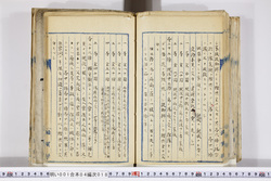 明い001040180010.jpg