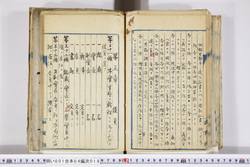 明い001040180011.jpg