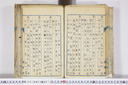 明い001040180016.jpg