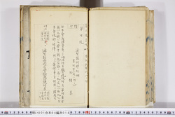 明い001040180025.jpg