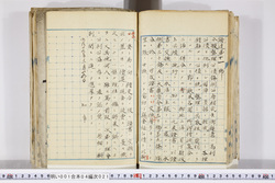 明い001040210002.jpg