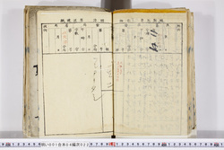 明い001040220004.jpg