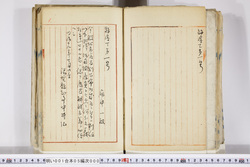 明い001050000004.jpg