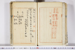 明い001050010002.jpg