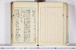 明い001050030002.jpg