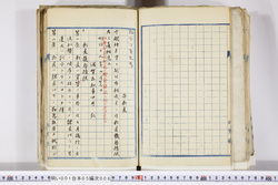 明い001050060002.jpg