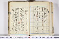 明い001050060004.jpg