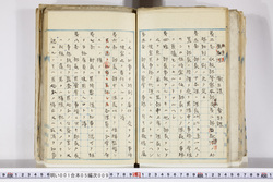 明い001050090005.jpg
