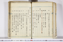 明い001050090017.jpg