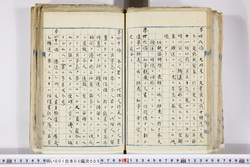 明い001050090028.jpg