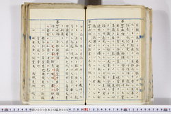 明い001050090030.jpg