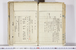 明い001050090050.jpg