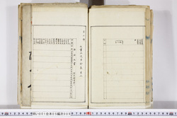 明い001050090052.jpg