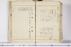 明い001060010015.jpg