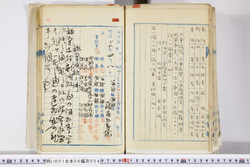 明い001060040003.jpg