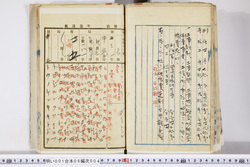 明い001060040005.jpg