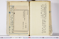 明い001060130004.jpg