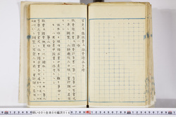 明い001060160002.jpg
