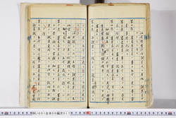 明い001060170006.jpg