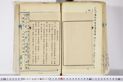 明い001060290002.jpg