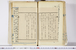 明い001060290003.jpg