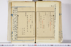 明い001060290005.jpg