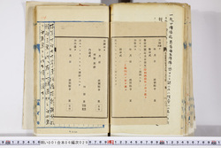 明い001060290007.jpg