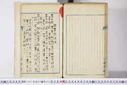 明い001060320002.jpg