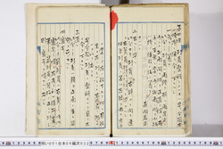 明い001060320003.jpg